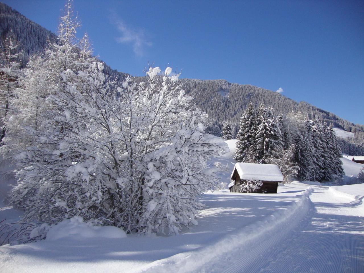 Haus Annemarie Apartments Kartitsch - Hochpustertal Extérieur photo